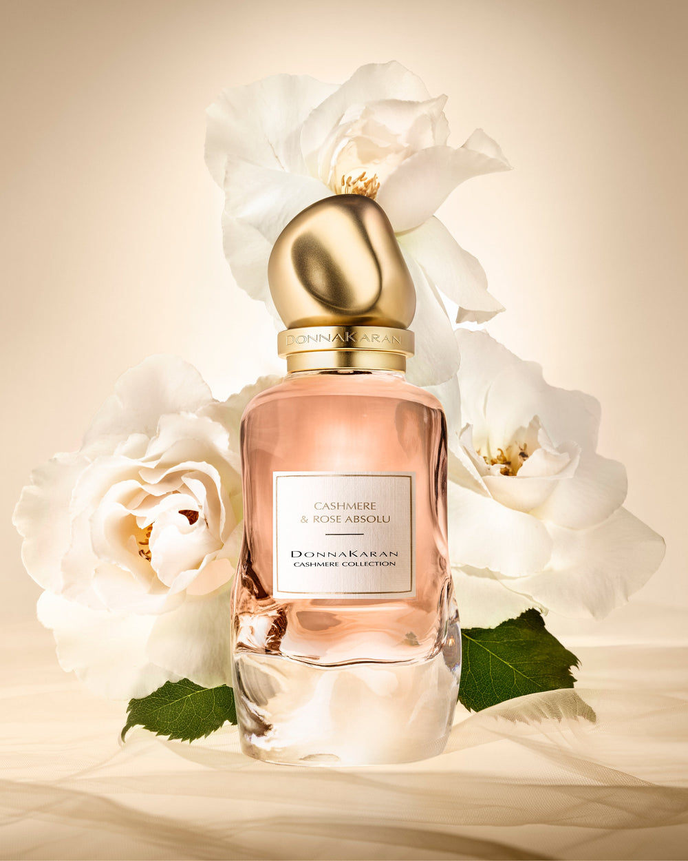 Donna Karan | CASHMERE & ROSE ABSOLU 100 ML
